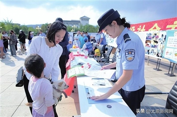 为流浪狗找家聘请监督员！太原警方探索犬类管理有妙招