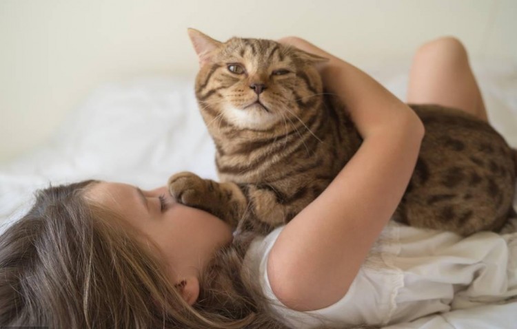 猫踩主人脸打碎水杯到底是不是故意的实验结果让人哭笑不得