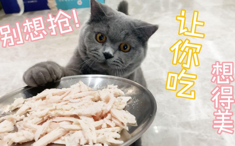 这几种食物对猫咪来说是人间美味你喂过几种